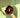 Human Hair Donut Scrunchie Rich Burgundy