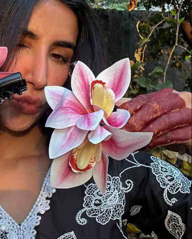 lily flower clip Lily Flower Holiday Clips