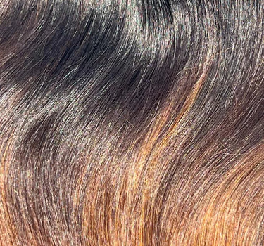 BALAYAGE OMBRE – CLIP IN HAIR | Nish Hair