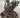 Slightly Coiled Curly Hair Extensions – Side Patches
